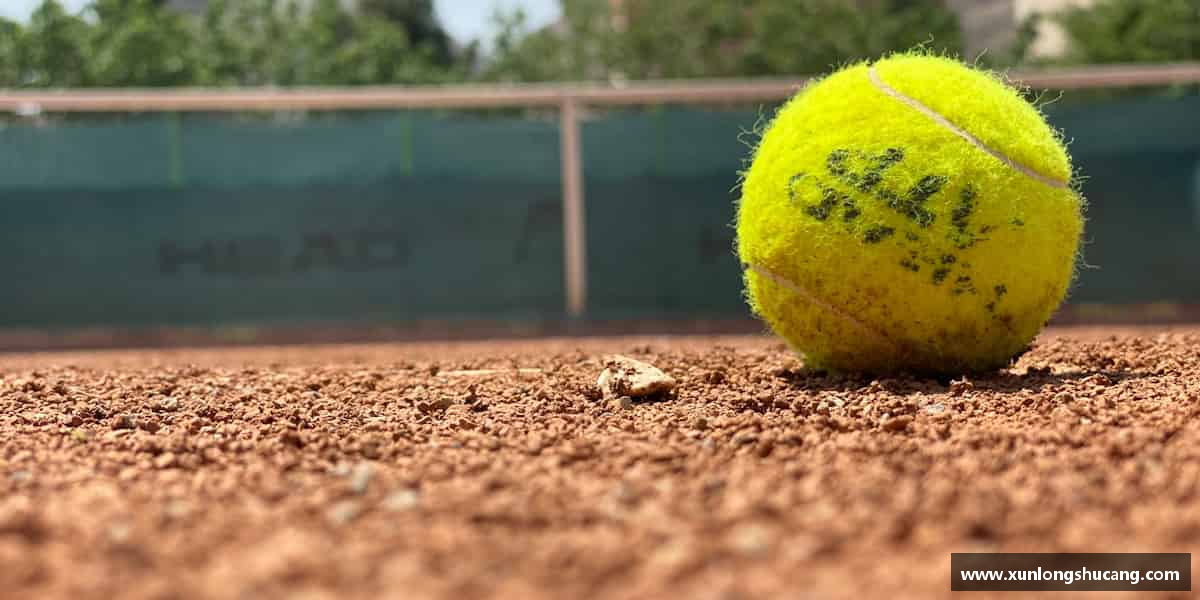 了解yy易游官网